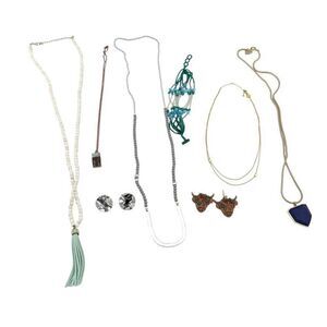 Closet Clean Out Jewelry Lot Long Necklaces Novelty Earrings Posh Boho Chic EUC